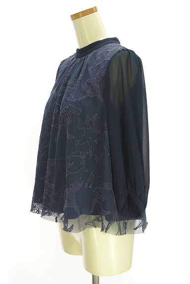 l'atelier du savon（アトリエ ドゥ サボン）の古着「袖切替刺しゅうレースブラウス（カットソー・プルオーバー）」大画像３へ