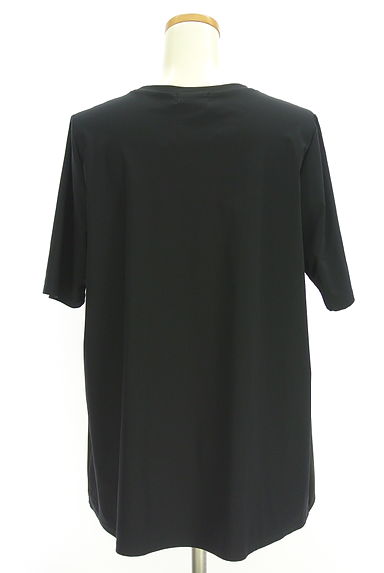 EVEX by KRIZIA（エヴェックス バイ クリツィア）の古着「半そでタックカットソー（カットソー・プルオーバー）」大画像２へ