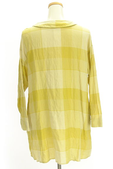 drug store's（ドラッグストアーズ）の古着「刺しゅう入りチェックチュニック（ワンピース・チュニック）」大画像２へ