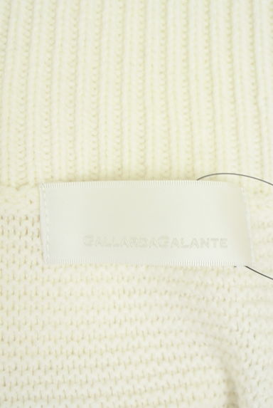 GALLARDAGALANTE（ガリャルダガランテ）の古着「Vネックニット（ニット）」大画像６へ