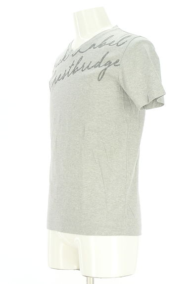 BLACK LABEL CRESTBRIDGE（ブラックレーベル・クレストブリッジ）の古着「ラメロゴプリントTシャツ（Ｔシャツ）」大画像３へ