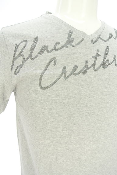 BLACK LABEL CRESTBRIDGE（ブラックレーベル・クレストブリッジ）の古着「ラメロゴプリントTシャツ（Ｔシャツ）」大画像４へ