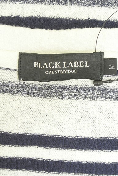 BLACK LABEL CRESTBRIDGE（ブラックレーベル・クレストブリッジ）の古着「マルチボーダーパイルTシャツ（Ｔシャツ）」大画像６へ