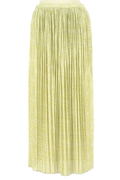 NATURAL BEAUTY BASIC（ナチュラルビューティベーシック）の古着「シワプリーツロングシフォンスカート（ロングスカート・マキシスカート）」大画像１へ