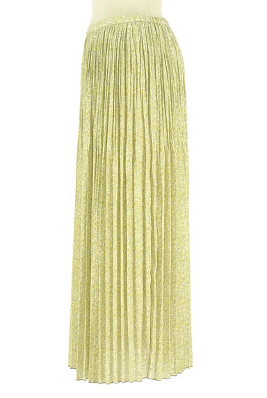 NATURAL BEAUTY BASIC（ナチュラルビューティベーシック）の古着「シワプリーツロングシフォンスカート（ロングスカート・マキシスカート）」大画像３へ