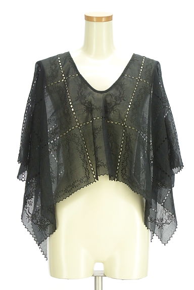 BEARDSLEY（ビアズリー）の古着「パッチワーク刺繍レースシアーカットソー（カットソー・プルオーバー）」大画像１へ
