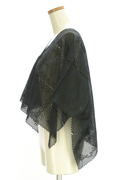 BEARDSLEY（ビアズリー）の古着「パッチワーク刺繍レースシアーカットソー（カットソー・プルオーバー）」大画像３へ