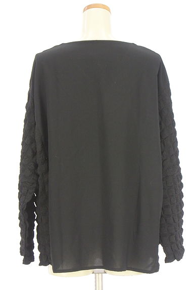antiqua（アンティカ）の古着「patterntorso 別地切替カットソー（カットソー・プルオーバー）」大画像２へ
