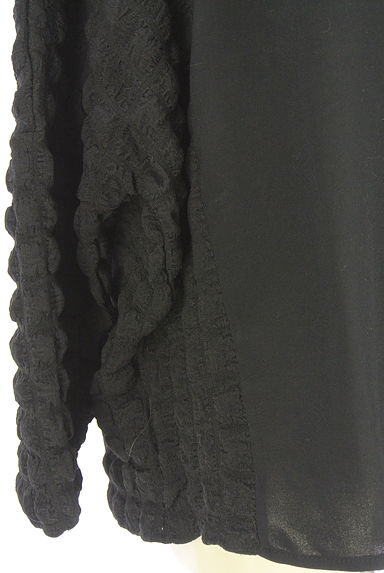 antiqua（アンティカ）の古着「patterntorso 別地切替カットソー（カットソー・プルオーバー）」大画像５へ