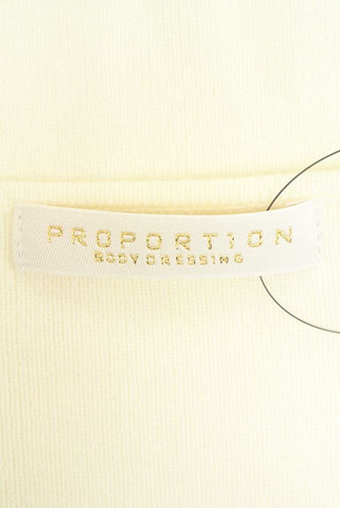 PROPORTION BODY DRESSING（プロポーションボディドレッシング）の古着「Vネックニットトップス（ニット）」大画像６へ