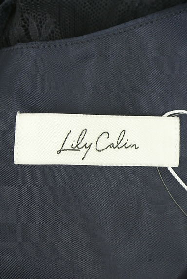 anySiS（エニィスィス）の古着「Lily calin 総レースワンピース　（ワンピース・チュニック）」大画像６へ