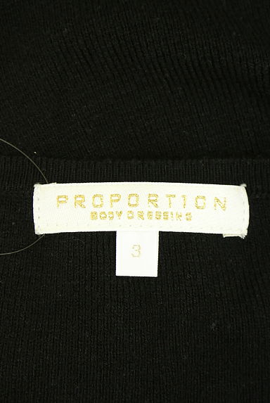 クリックで大画像表示 PROPORTION BODY DRESSING(プロポーションボディドレッシング)の古着「袖花刺繍レースVネックニットトップス(ニット)」大画像6へ
