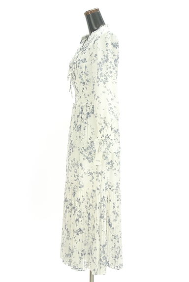 クリックで大画像表示 Snidel(スナイデル)の古着「花柄シフォンワンピース(ワンピース・チュニック)」大画像3へ