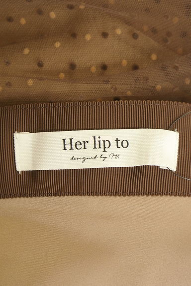 Her lip to（ハーリップトゥ）の古着「フロッキードット柄ロングチュールスカート（ロングスカート・マキシスカート）」大画像６へ