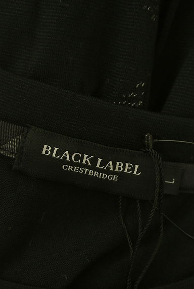 BLACK LABEL CRESTBRIDGE（ブラックレーベル・クレストブリッジ）の古着「半そでチェック柄プリントTシャツ（Ｔシャツ）」大画像６へ