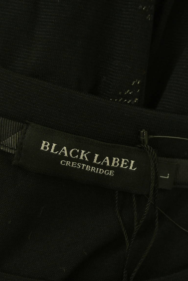 BLACK LABEL CRESTBRIDGE（ブラックレーベル・クレストブリッジ）の古着「商品番号：PR10345068」-大画像6