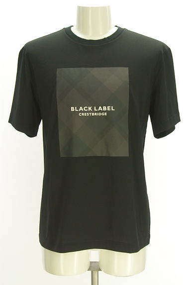 BLACK LABEL CRESTBRIDGE（ブラックレーベル・クレストブリッジ）の古着「ボックスプリント半そでTシャツ（Ｔシャツ）」大画像１へ