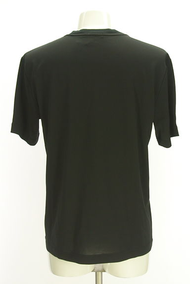 BLACK LABEL CRESTBRIDGE（ブラックレーベル・クレストブリッジ）の古着「ボックスプリント半そでTシャツ（Ｔシャツ）」大画像２へ