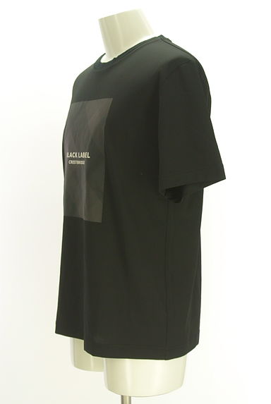BLACK LABEL CRESTBRIDGE（ブラックレーベル・クレストブリッジ）の古着「ボックスプリント半そでTシャツ（Ｔシャツ）」大画像３へ