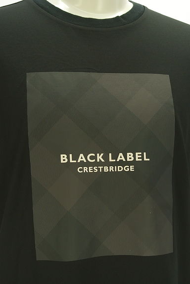 BLACK LABEL CRESTBRIDGE（ブラックレーベル・クレストブリッジ）の古着「ボックスプリント半そでTシャツ（Ｔシャツ）」大画像４へ