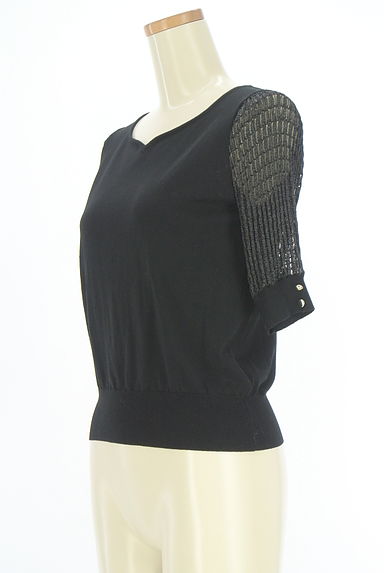 クリックで大画像表示 PROPORTION BODY DRESSING(プロポーションボディドレッシング)の古着「ラメ透かし編み袖切替ニット(ニット)」大画像3へ
