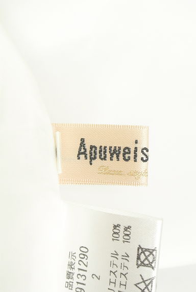 Apuweiser riche（アプワイザーリッシェ）スカート買取実績のブランドタグ画像