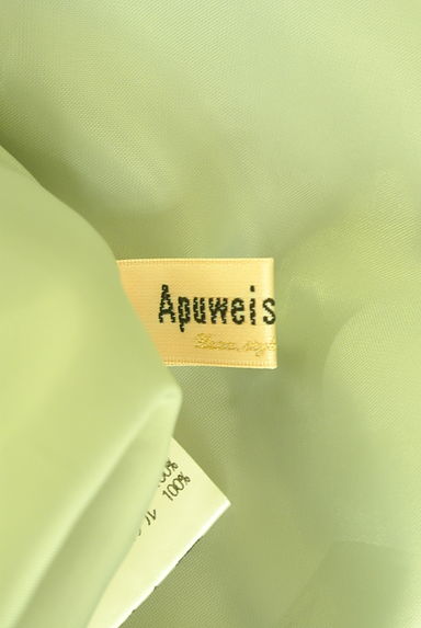 Apuweiser riche（アプワイザーリッシェ）スカート買取実績のブランドタグ画像