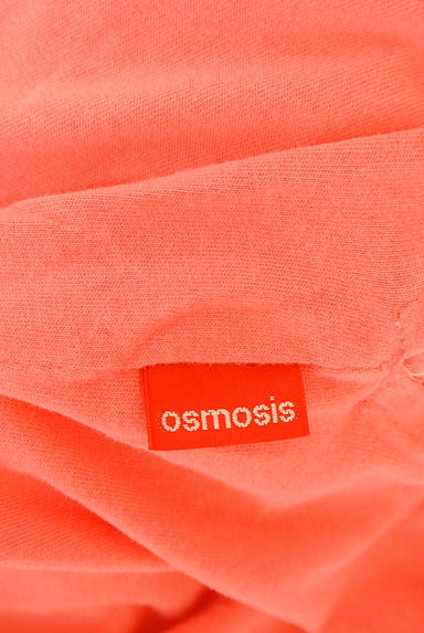 クリックで大画像表示 OSMOSIS(オズモーシス)の古着「フロッキーロゴプリントロンT(Tシャツ)」大画像6へ