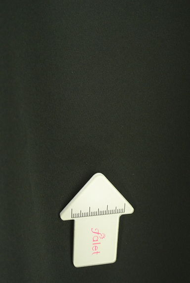 クリックで大画像表示 PROPORTION BODY DRESSING(プロポーションボディドレッシング)の古着「レース衿Aラインワンピース(ワンピース・チュニック)」大画像5へ