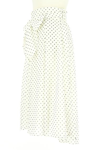 クリックで大画像表示 WILLSELECTION(ウィルセレクション)の古着「ドット柄シフォンフレアスカート(スカート)」大画像3へ
