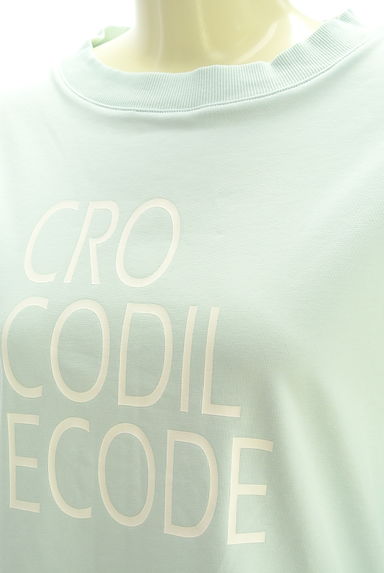 クリックで大画像表示 Crocodile(クロコダイル)の古着「9分袖ロゴTシャツ(Tシャツ)」大画像4へ