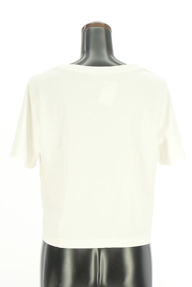 クリックで大画像表示 PROPORTION BODY DRESSING(プロポーションボディドレッシング)の古着「ワンポイント刺繍Tシャツ(Tシャツ)」大画像2へ