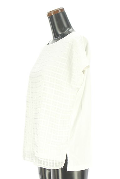 クリックで大画像表示 LAUTREAMONT(ロートレアモン)の古着「チェックシフォンシアープルオーバー(カットソー・プルオーバー)」大画像3へ