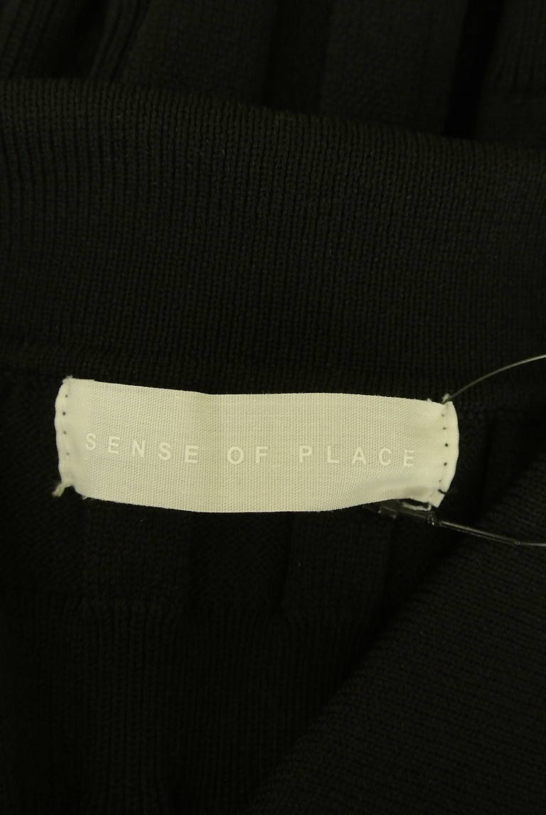 SENSE OF PLACE by URBAN RESEARCH(センスオブプレイス)の古着「商品番号:PR10346485」-大画像6