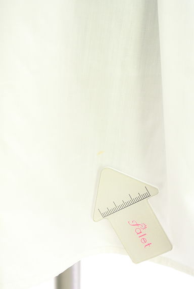 クリックで大画像表示 PROPORTION BODY DRESSING(プロポーションボディドレッシング)の古着「パフスリフレアブラウス(カットソー・プルオーバー)」大画像5へ