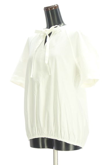 クリックで大画像表示 theory luxe(セオリーリュクス)の古着「パフスリーブストレッチブラウス(カットソー・プルオーバー)」大画像3へ