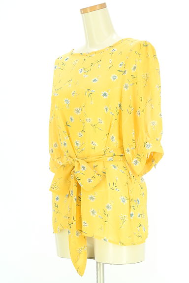 クリックで大画像表示 URBAN RESEARCH(アーバンリサーチ)の古着「items URBAN RESEARCH 花柄シフォンカットソー(カットソー・プルオーバー)」大画像3へ
