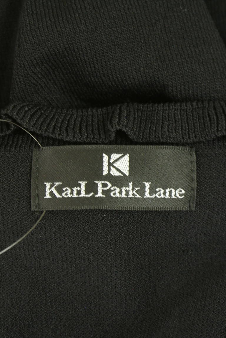 KarL Park Lane（カールパークレーン）の古着「商品番号：PR10347467」-大画像6