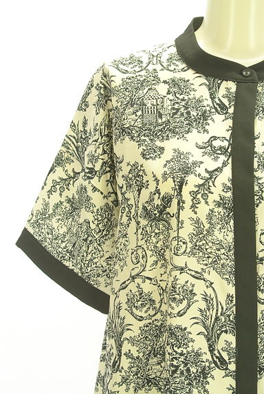 antiqua（アンティカ）の古着「patterntorso 総柄バンドカラーシャツワンピース（ワンピース・チュニック）」大画像４へ