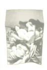 TARA JARMON（タラジャーモン）の古着「商品番号：PR10347756」-4