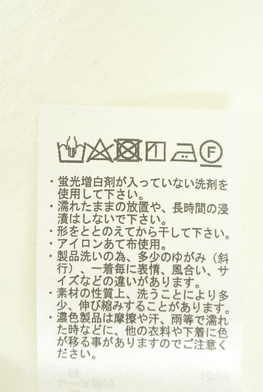 クリックで大画像表示 Samansa Mos2(サマンサモスモス)の古着「レースカットソー(カットソー・プルオーバー)」大画像5へ