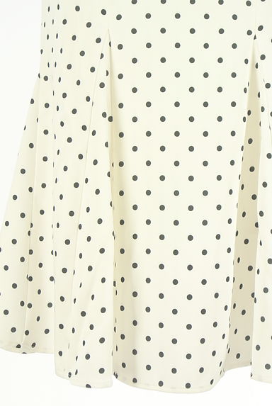 クリックで大画像表示 Snidel(スナイデル)の古着「ドット柄ロングスカート(ロングスカート・マキシスカート)」大画像5へ
