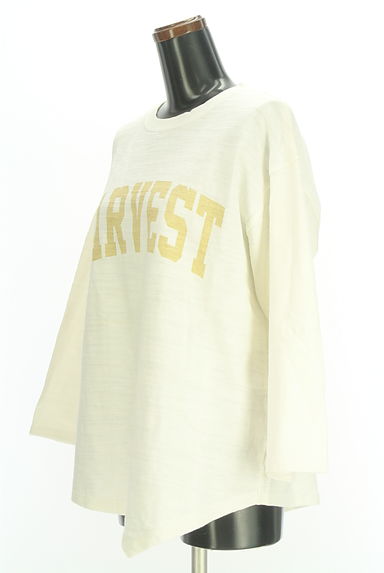 クリックで大画像表示 CUBE SUGAR(キューブシュガー)の古着「イレギュラーヘムプリントロンT(Tシャツ)」大画像3へ