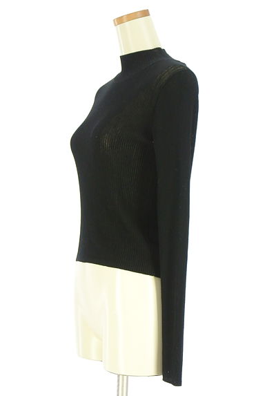 クリックで大画像表示 PROPORTION BODY DRESSING(プロポーションボディドレッシング)の古着「モックネックシアーリブニットトップス(ニット)」大画像3へ
