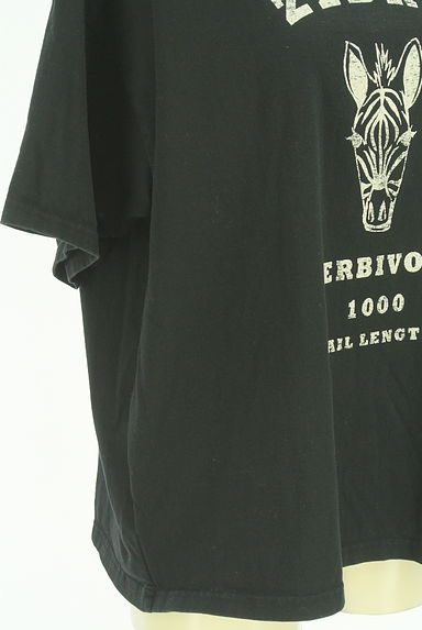 クリックで大画像表示 antiqua(アンティカ)の古着「プリントTシャツ(Tシャツ)」大画像5へ