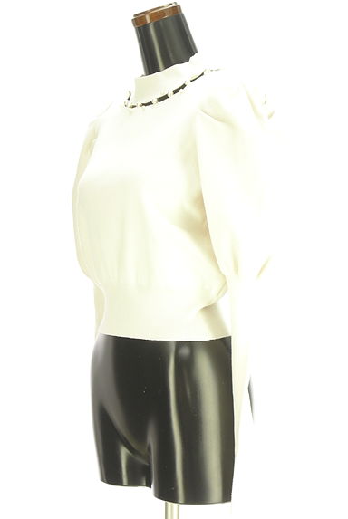 クリックで大画像表示 dazzlin(ダズリン)の古着「パール付きハイネックパフスリニット(ニット)」大画像3へ