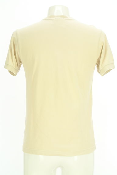 クリックで大画像表示 LACOSTE(ラコステ)の古着「ワンポイント鹿の子Tシャツ(Tシャツ)」大画像2へ