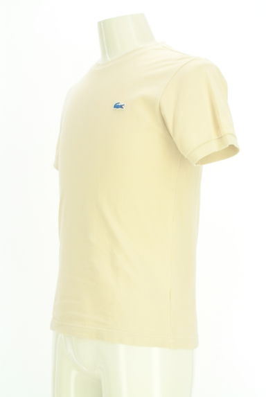 クリックで大画像表示 LACOSTE(ラコステ)の古着「ワンポイント鹿の子Tシャツ(Tシャツ)」大画像3へ