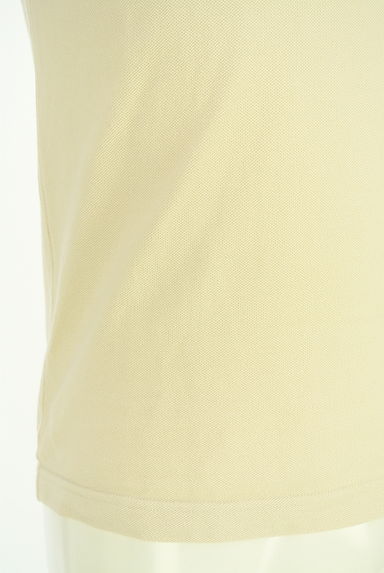クリックで大画像表示 LACOSTE(ラコステ)の古着「ワンポイント鹿の子Tシャツ(Tシャツ)」大画像5へ