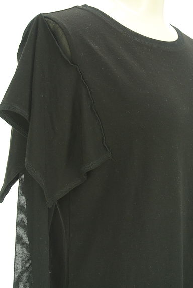 クリックで大画像表示 HIROKO KOSHINO(ヒロココシノ)の古着「HIROKO KOSHINO TRUNK シアー袖カットソー(カットソー・プルオーバー)」大画像4へ